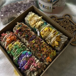 sauge blanche fleurie